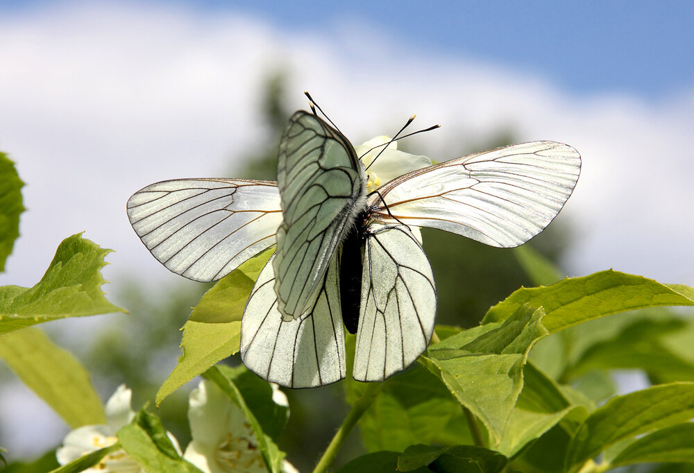 Photograph by Андрей Лукин