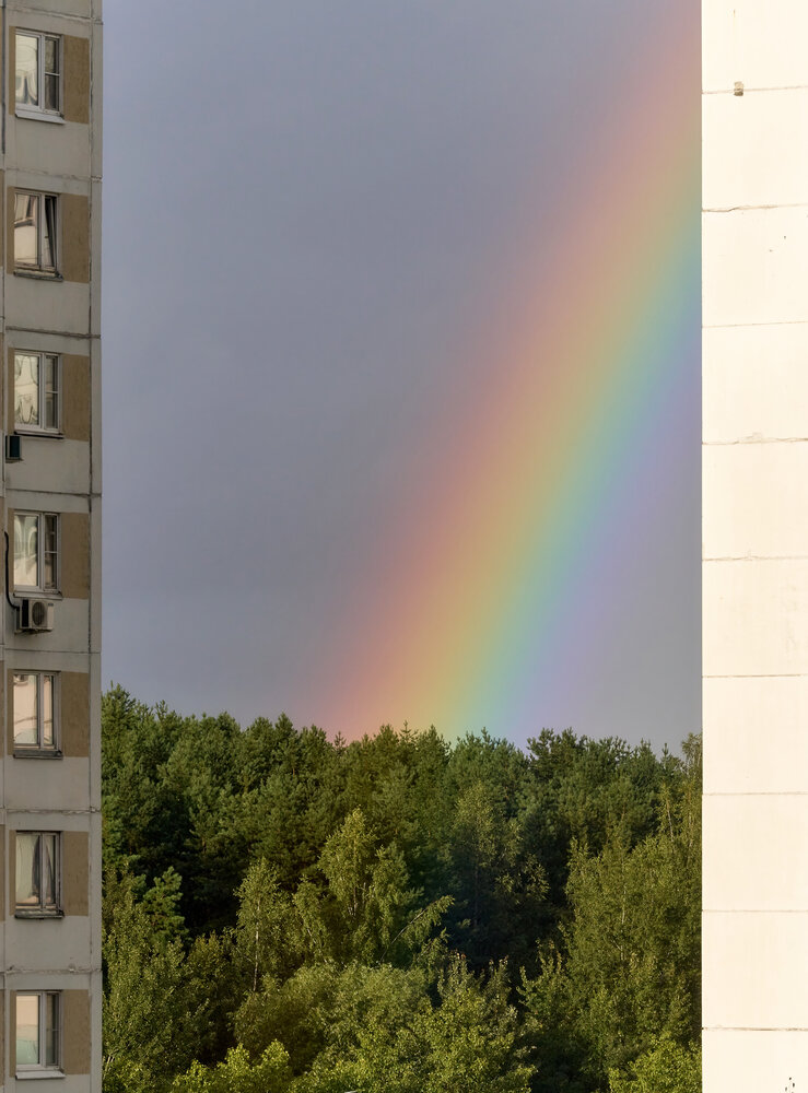 Photograph by Ян