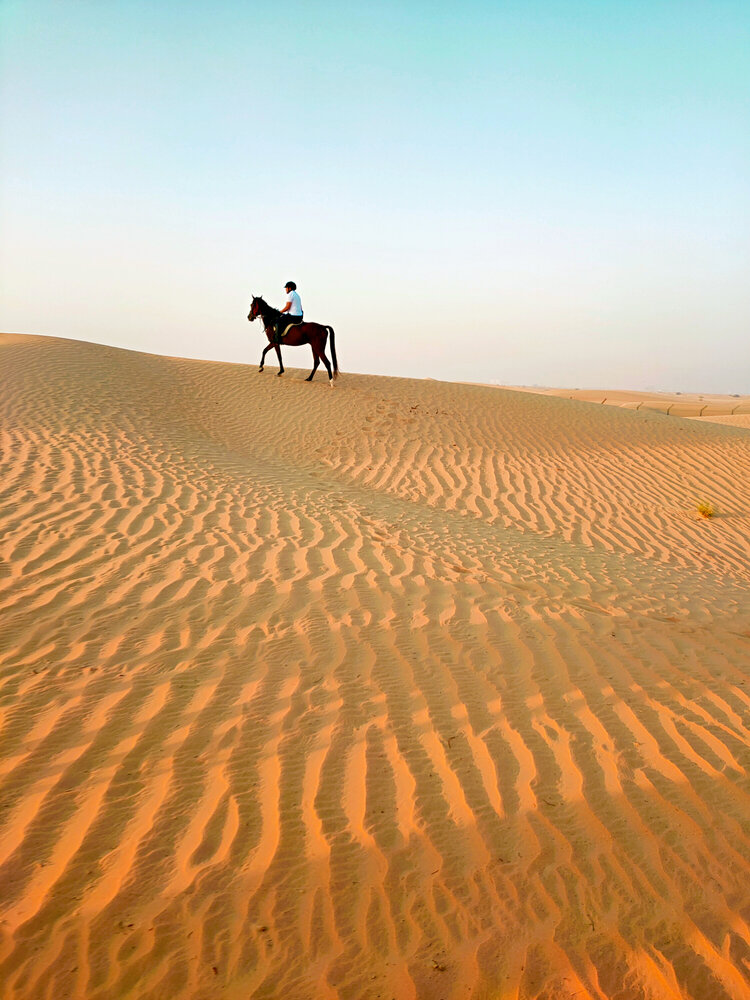 Shadows on the Dune