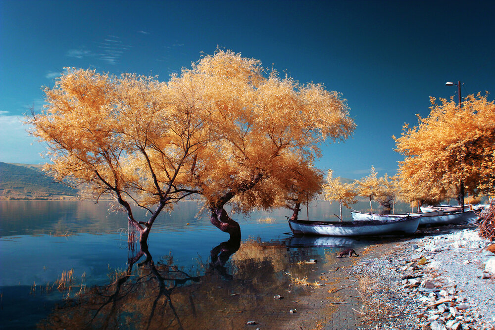 Photograph by Galip Çetiner