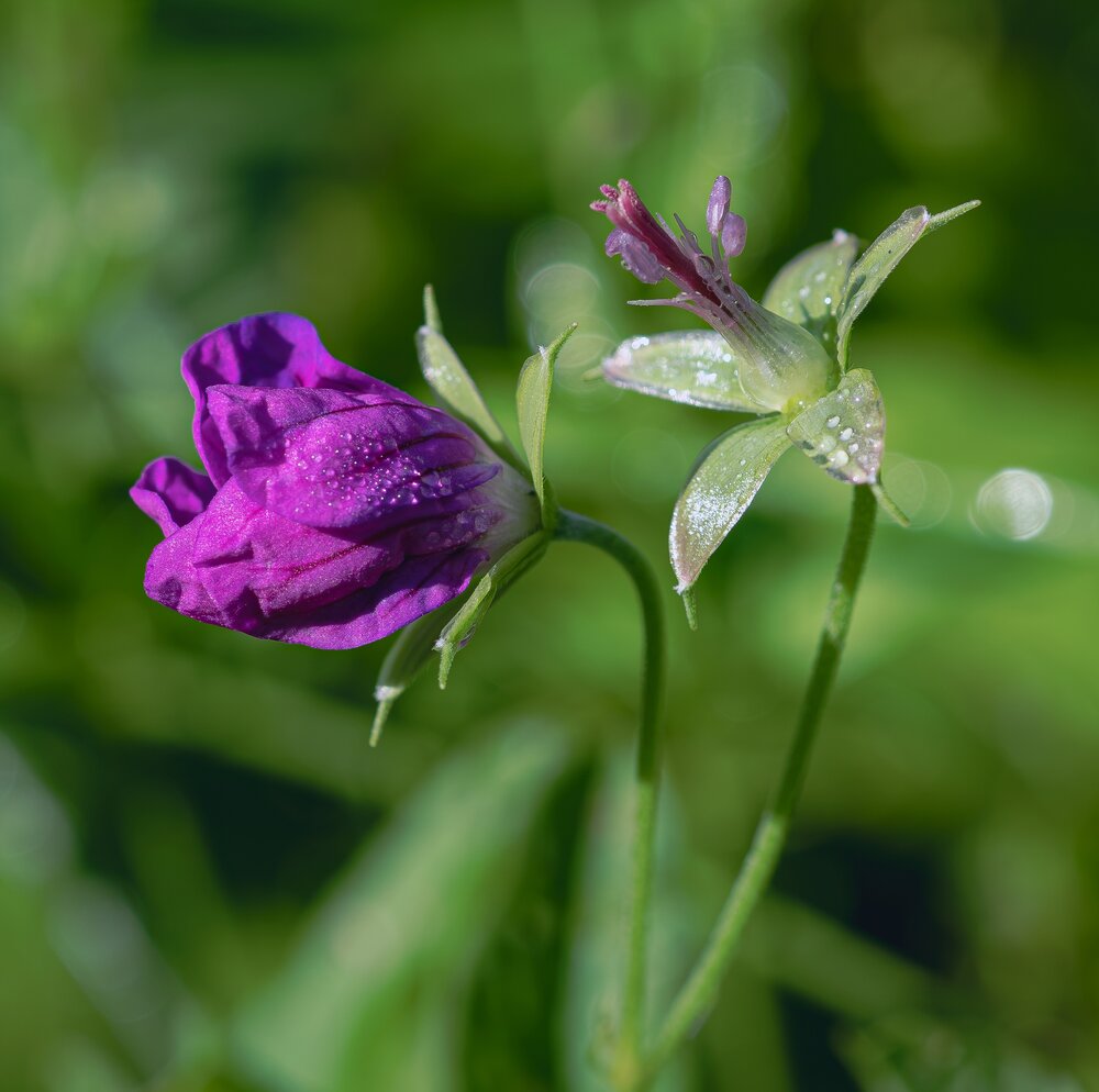 Photograph by Елена Харитонова