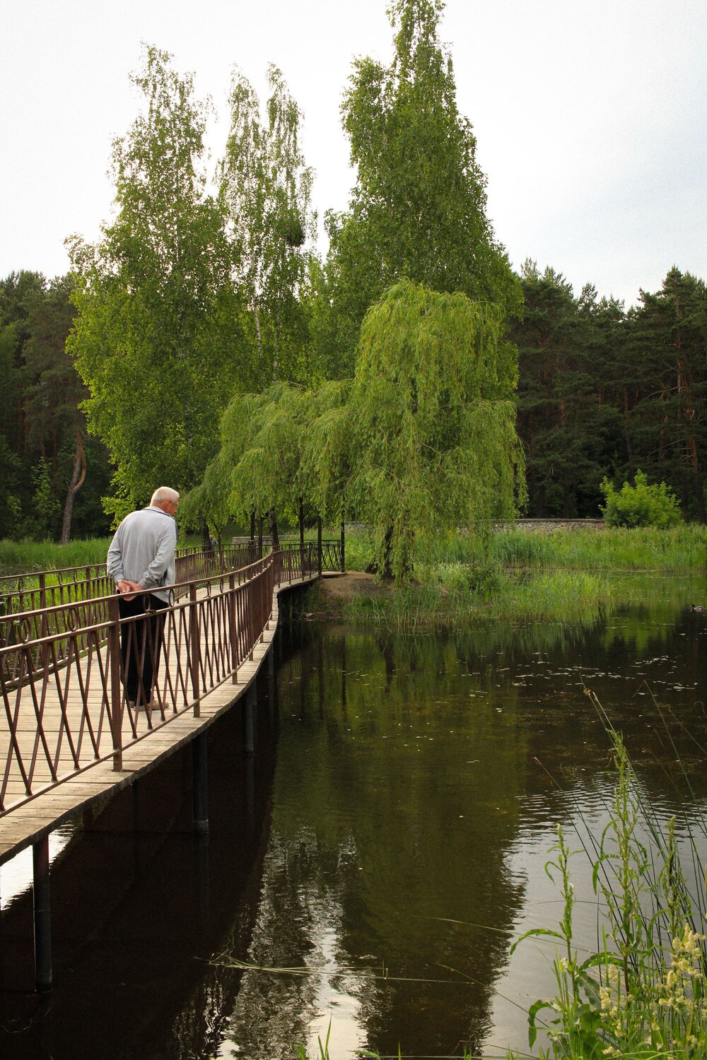 Photo #14001441