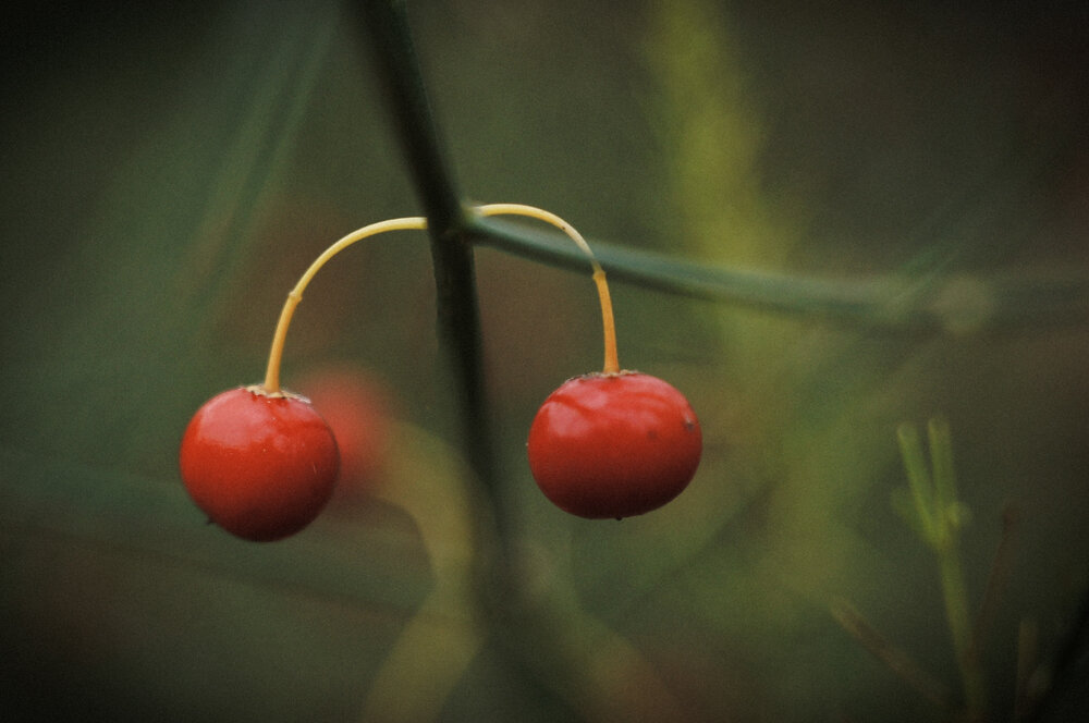 Photograph by Павел Москаленко