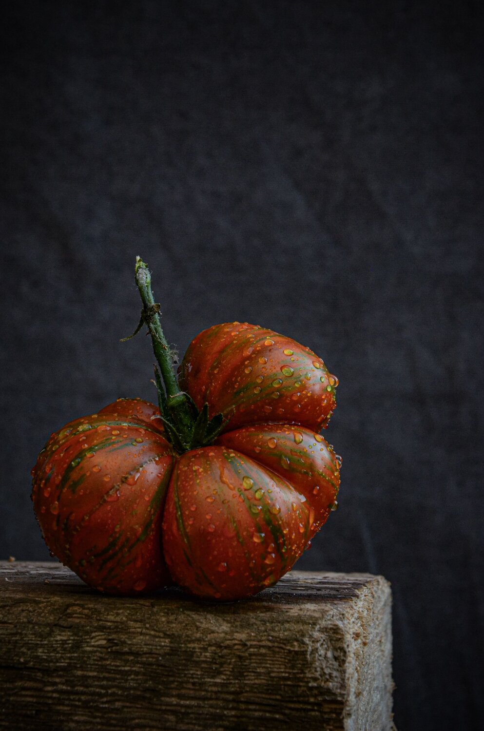 Photo #14001504