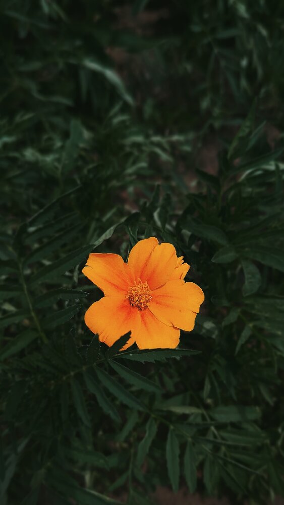 Photograph by Анна Морозова