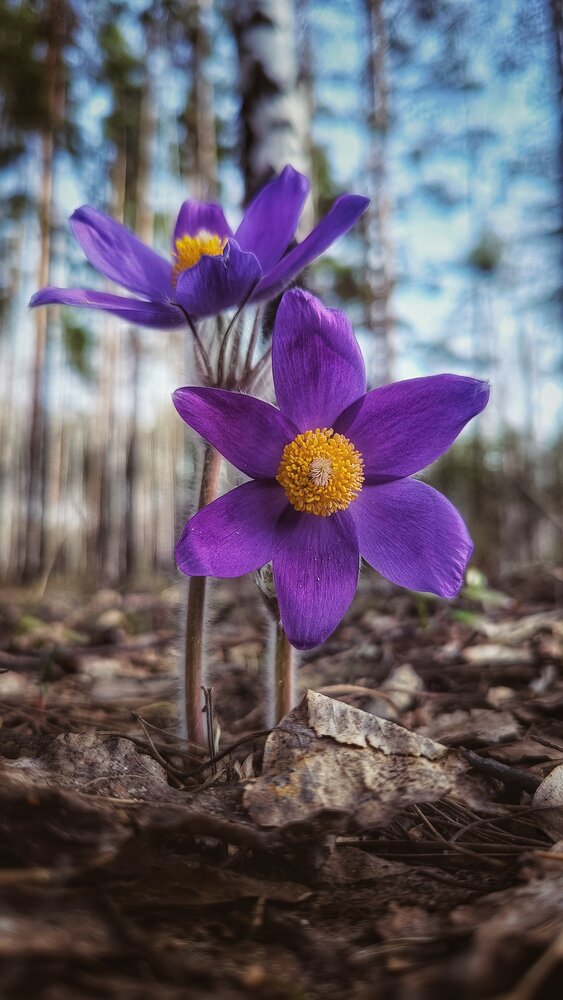 Photograph by Leanid Kulpo