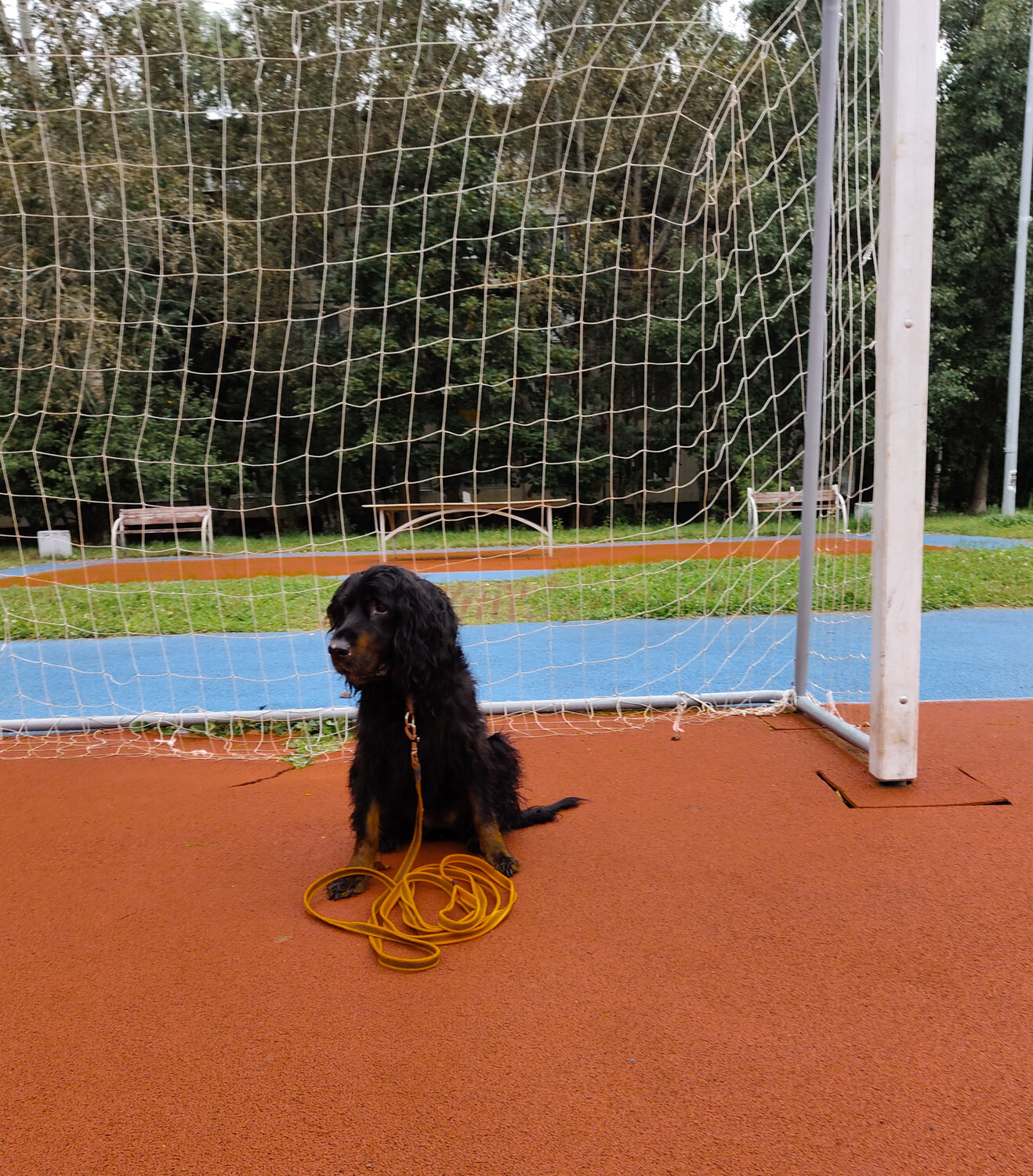 Photo #14001706