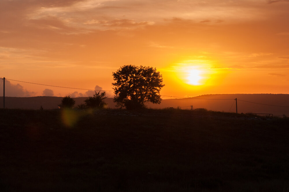 Photograph by Екатерина Ефанова