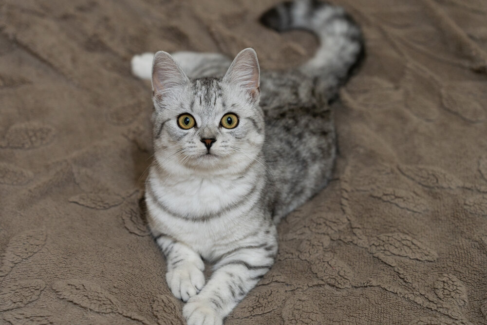 Photograph by Екатерина Ефанова