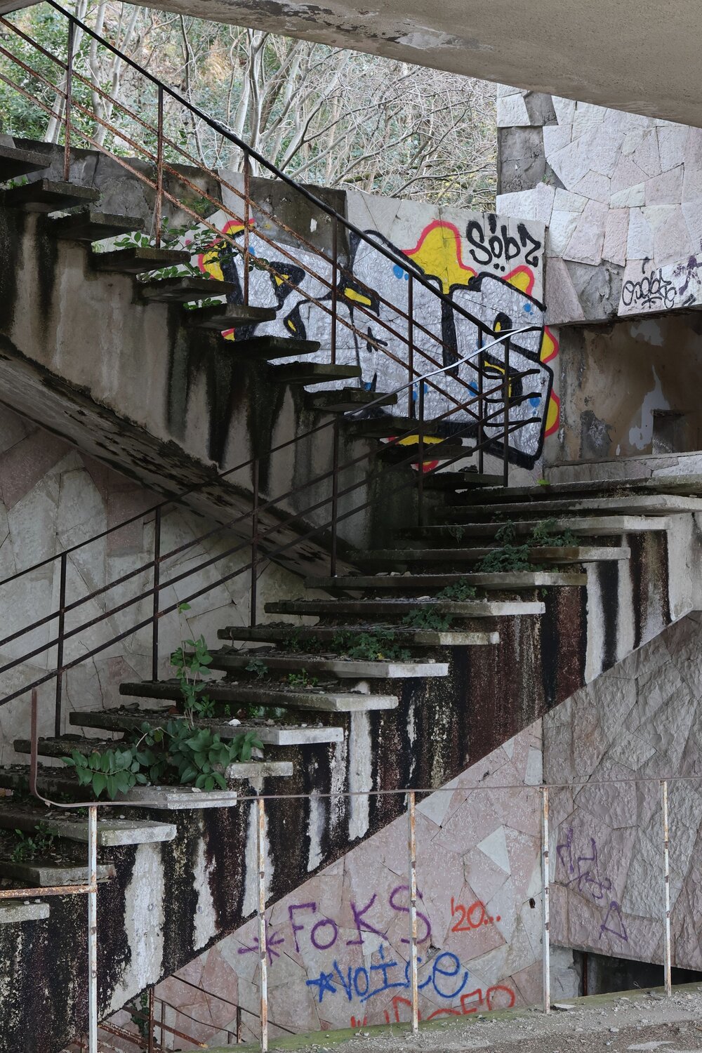 Photo #14001845