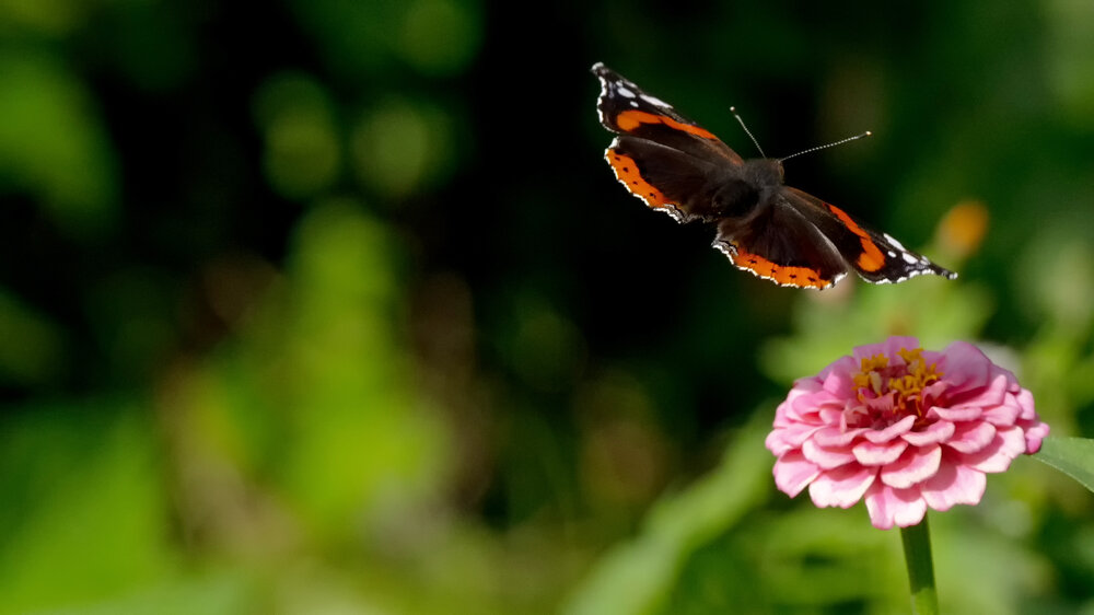 Photograph by Абашкин Сергей