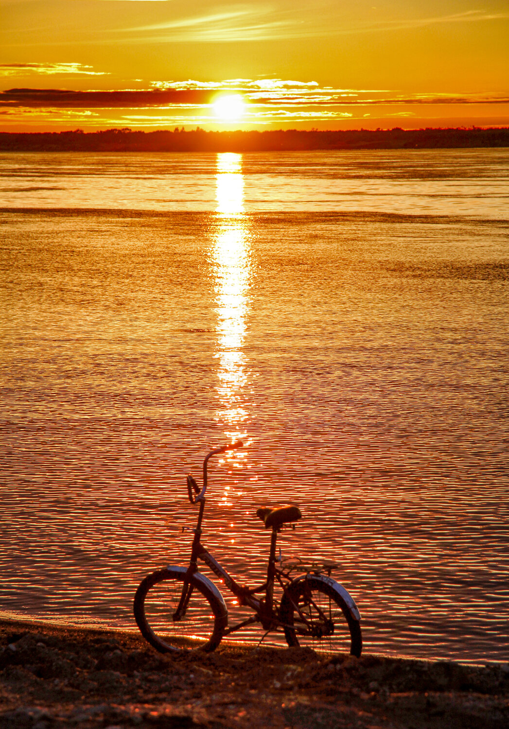 Photo #14001915