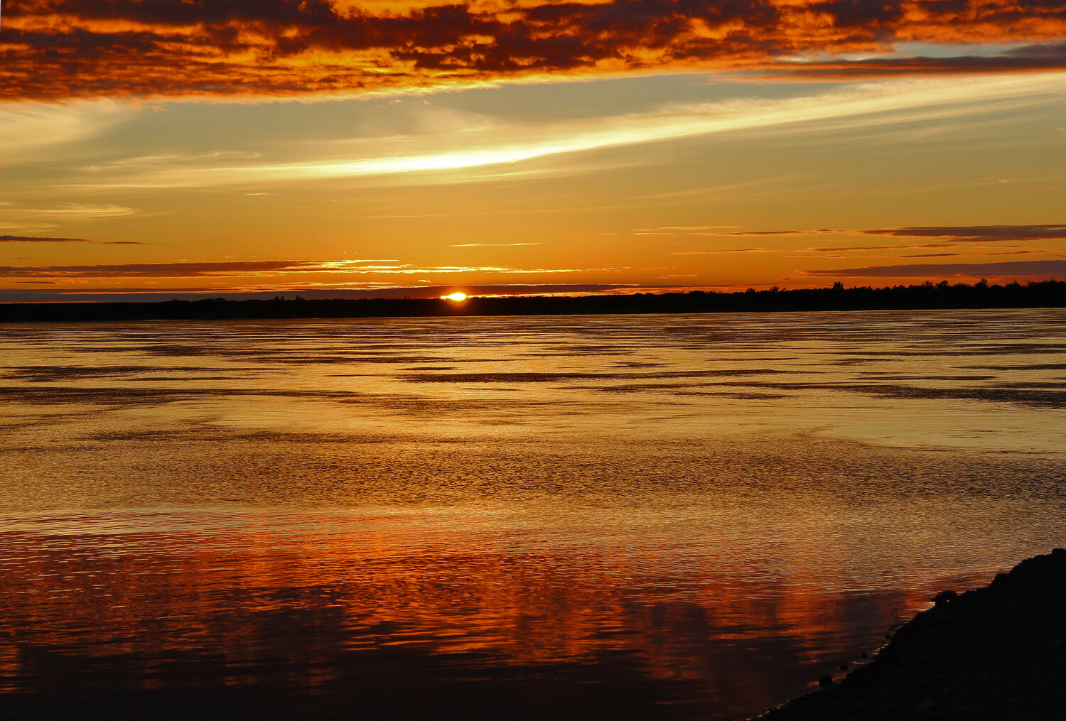 Photo #14001916