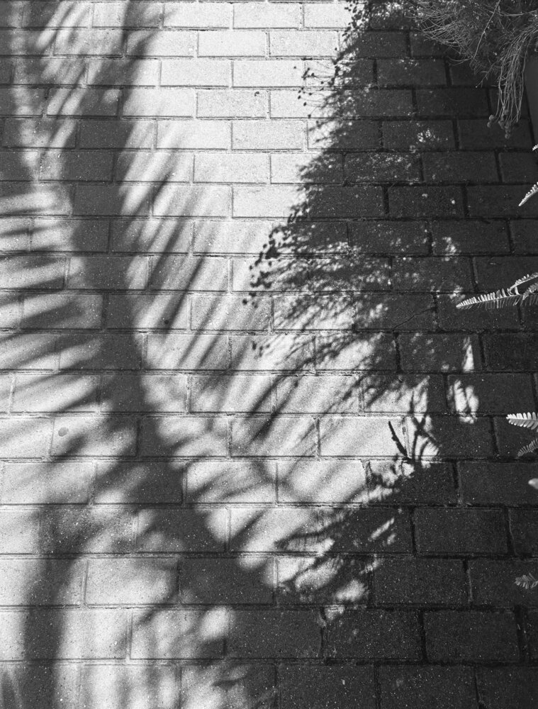 Photo #14001996