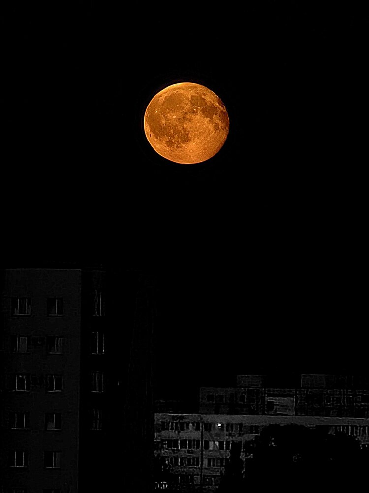 Фотография автора Ольга Меньшенина