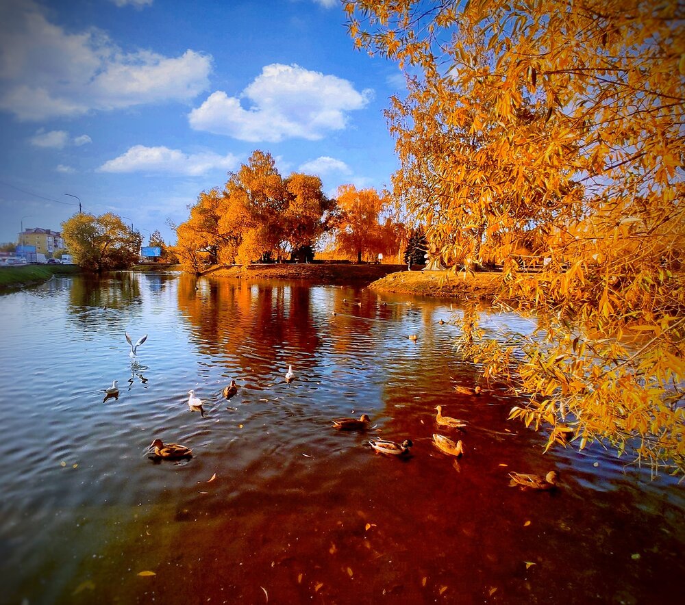 Photograph by Наталья Колмакова