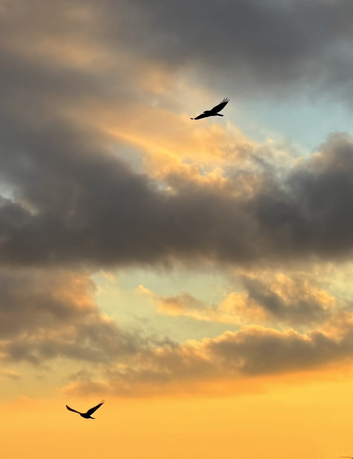 Freedom