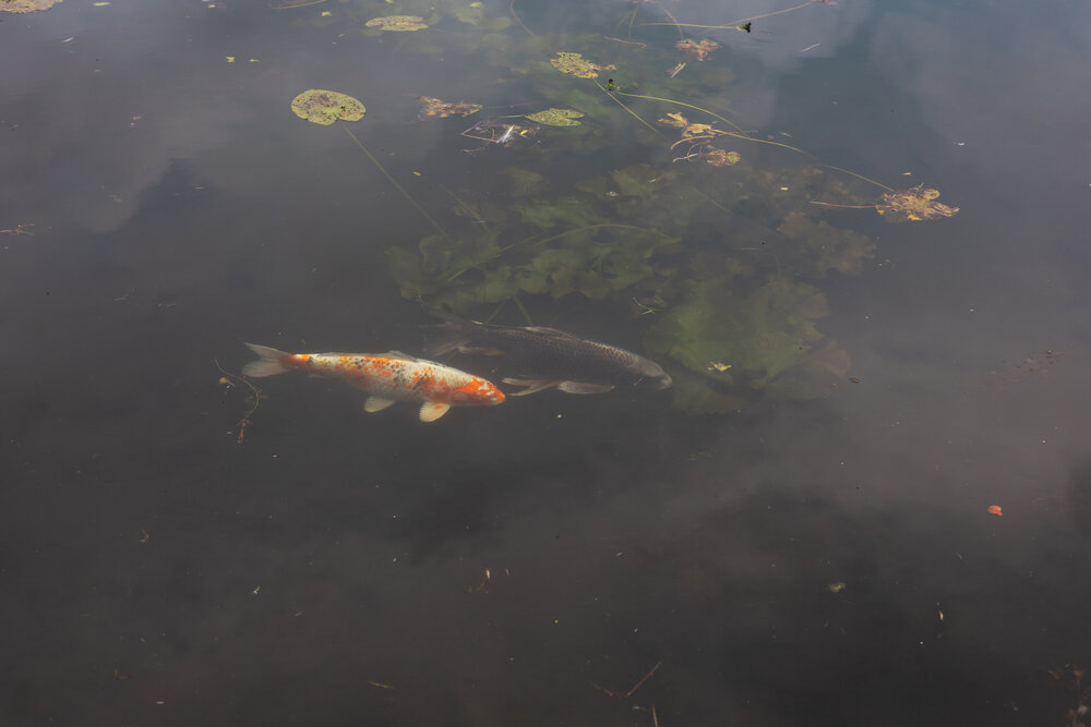 Photograph by Ольга Шевченко