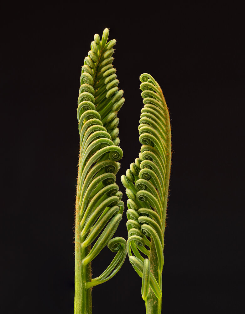 Photograph by Valdir Hobus