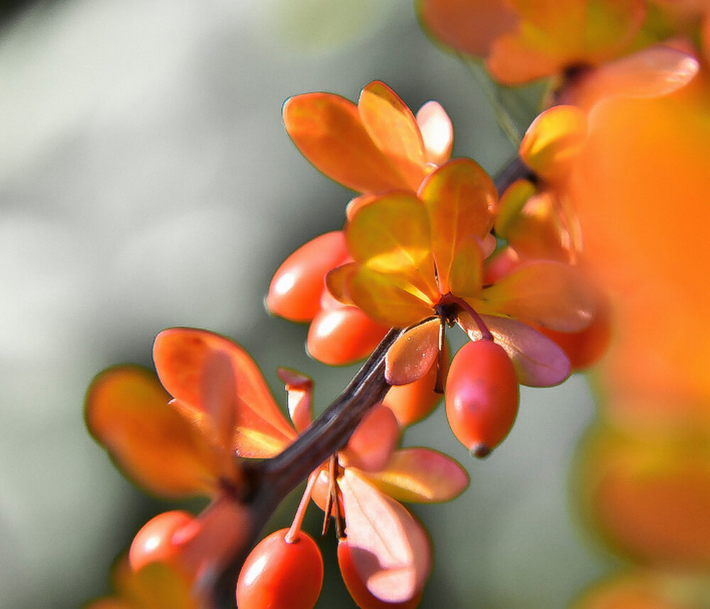 Photograph by Vitalii Kaznin