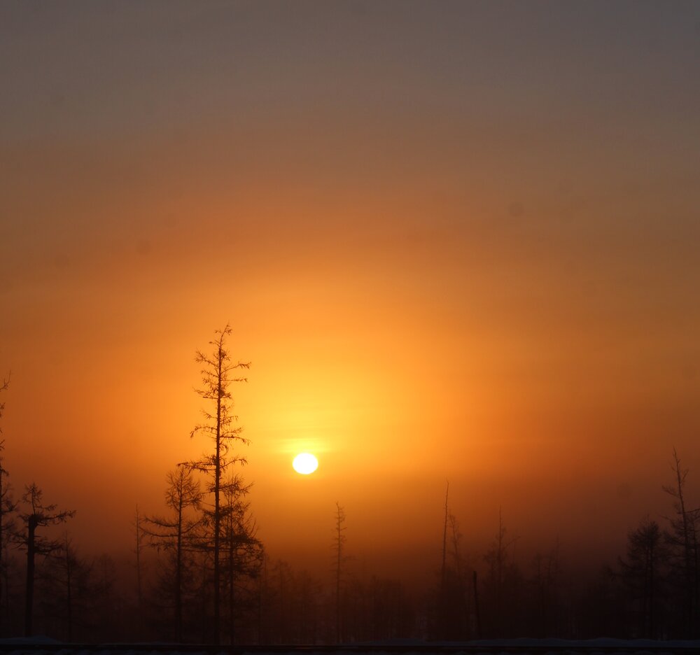 Photograph by Михаил Мархинин