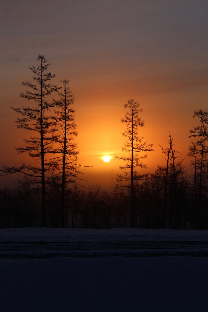 Photograph by Михаил Мархинин