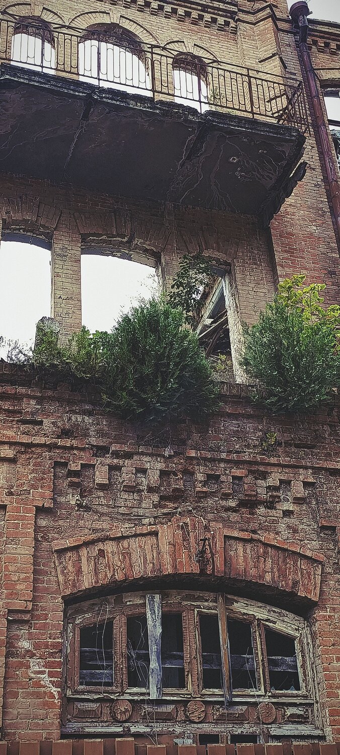 Photo #14002315