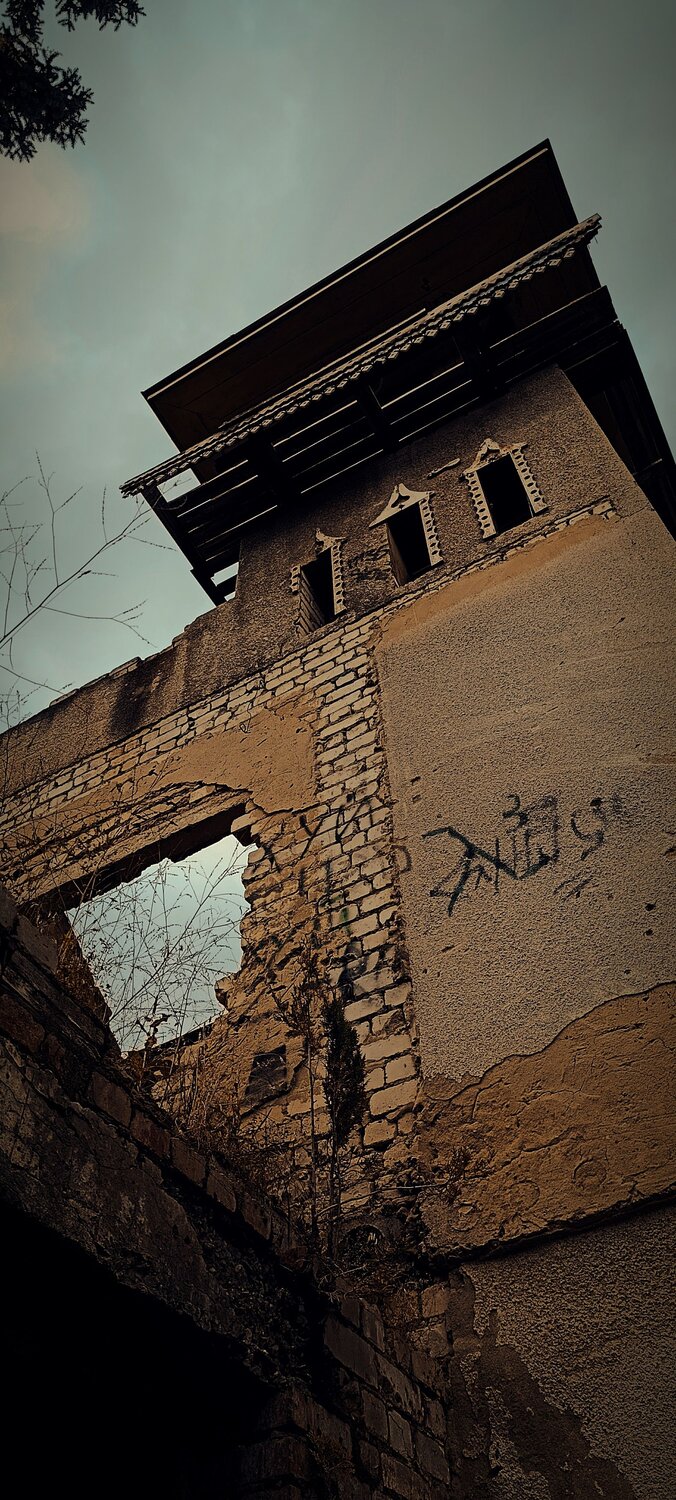 Photo #14002317