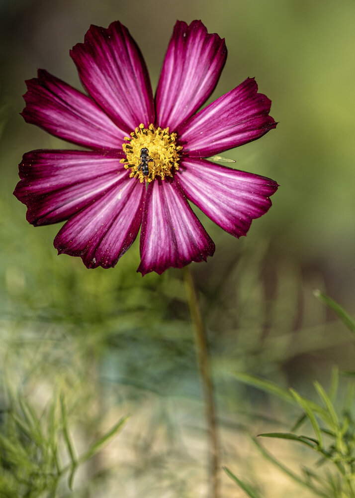 Photograph by Абашкин Сергей