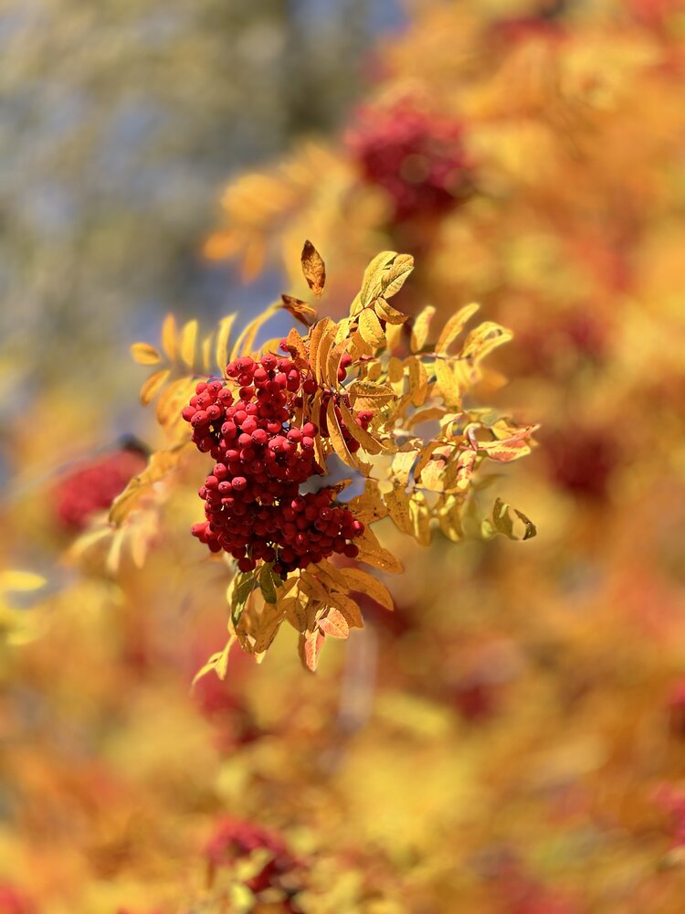 Photograph by Дмитрий Бобровский