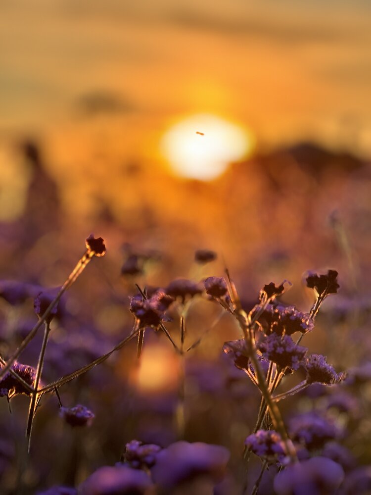 Photograph by Дмитрий Бобровский