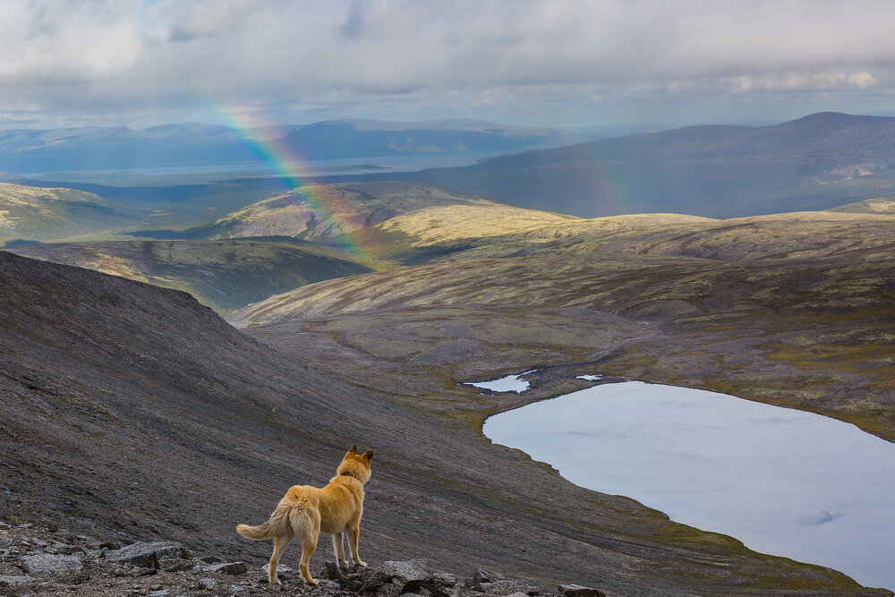 Photograph by Sergey Nikolenko