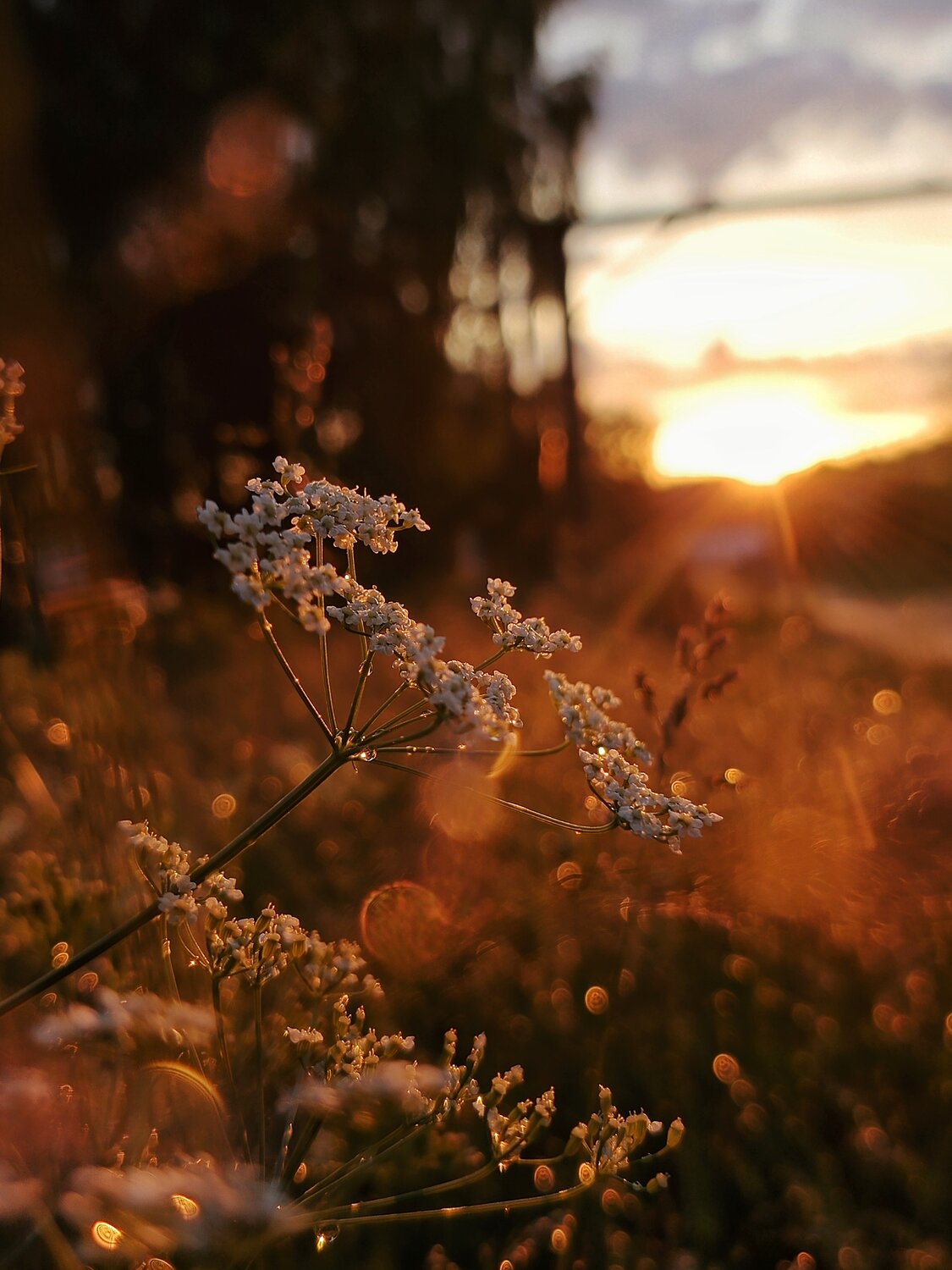 Photo #14002522