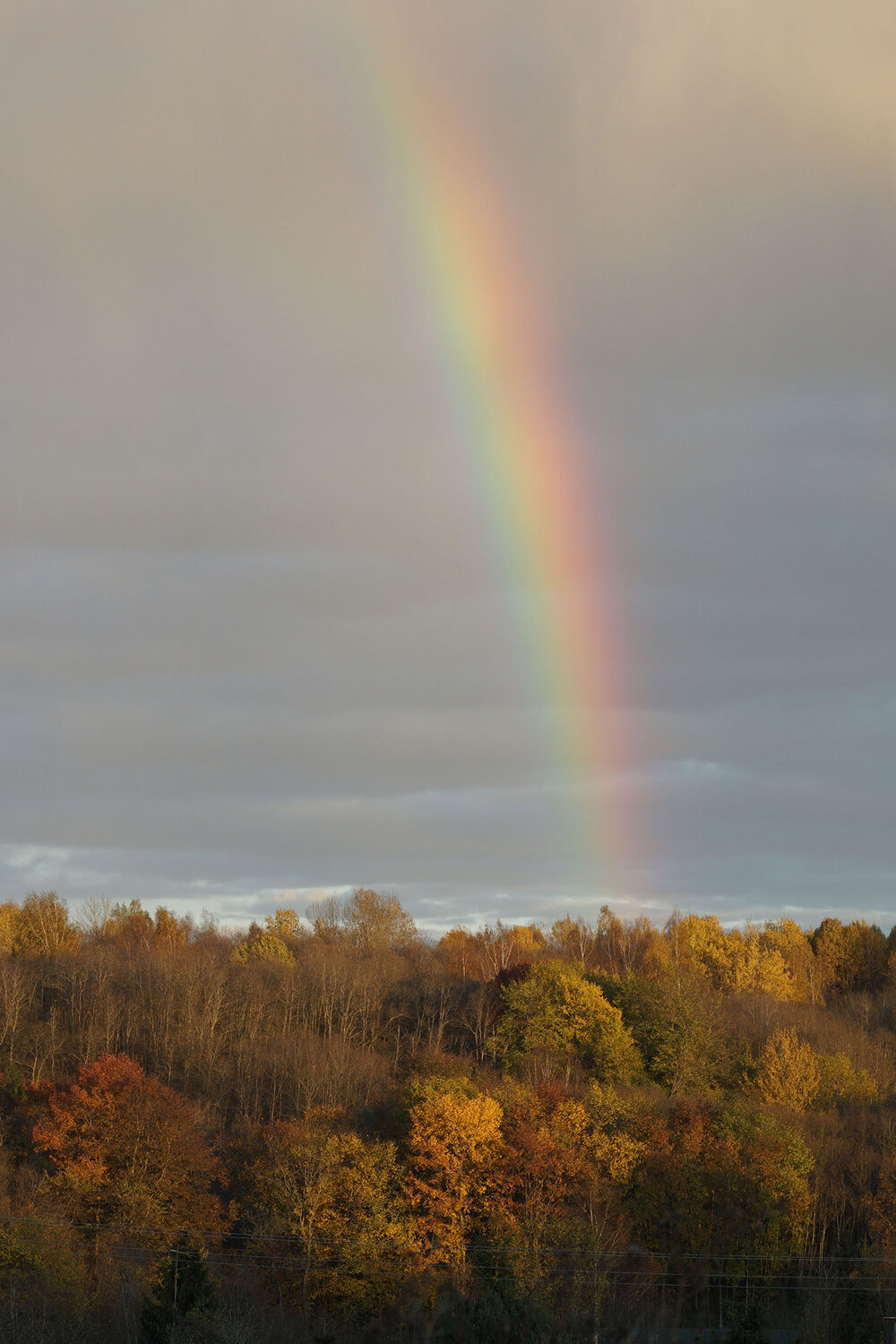 Photo #14002547