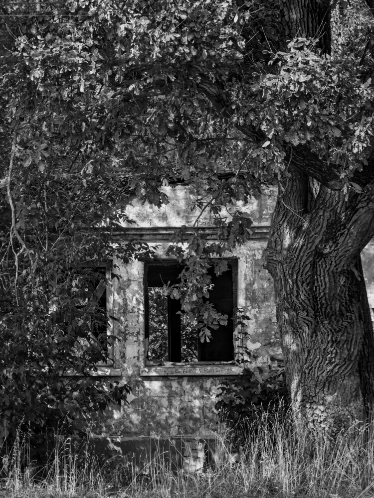 Photograph by Елена Чулюнина