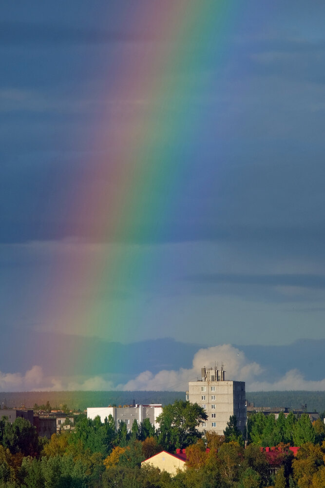 Photograph by ARTEM KORZHUKOV