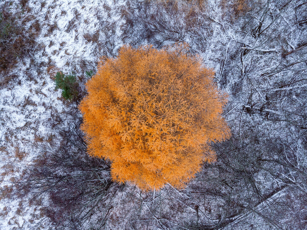 Photograph by Михаил Устюжанин