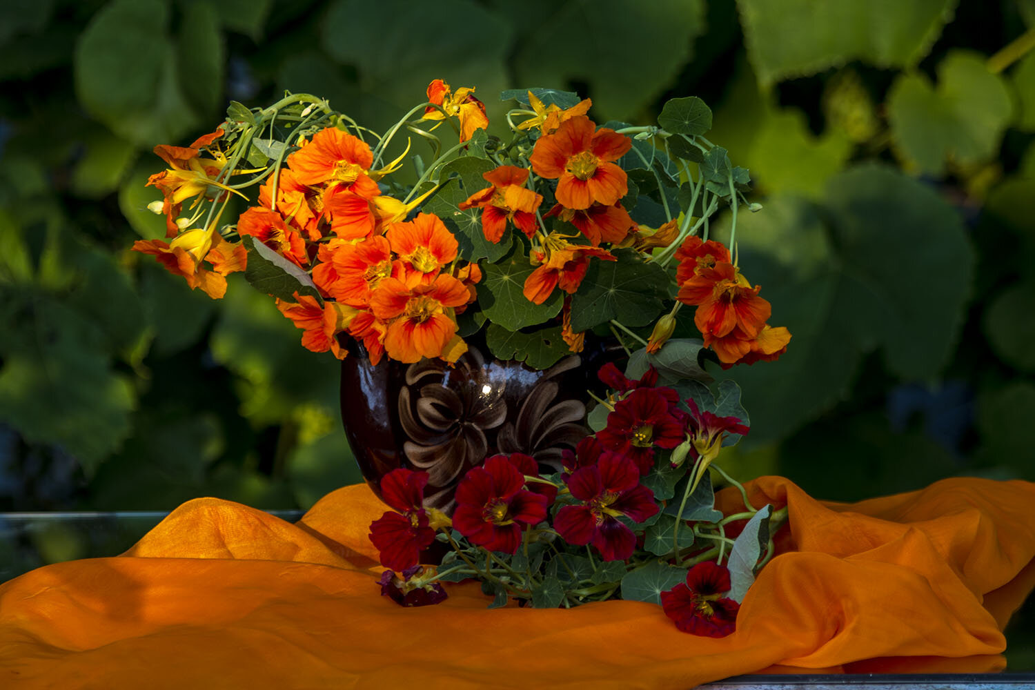 Photo #14002667