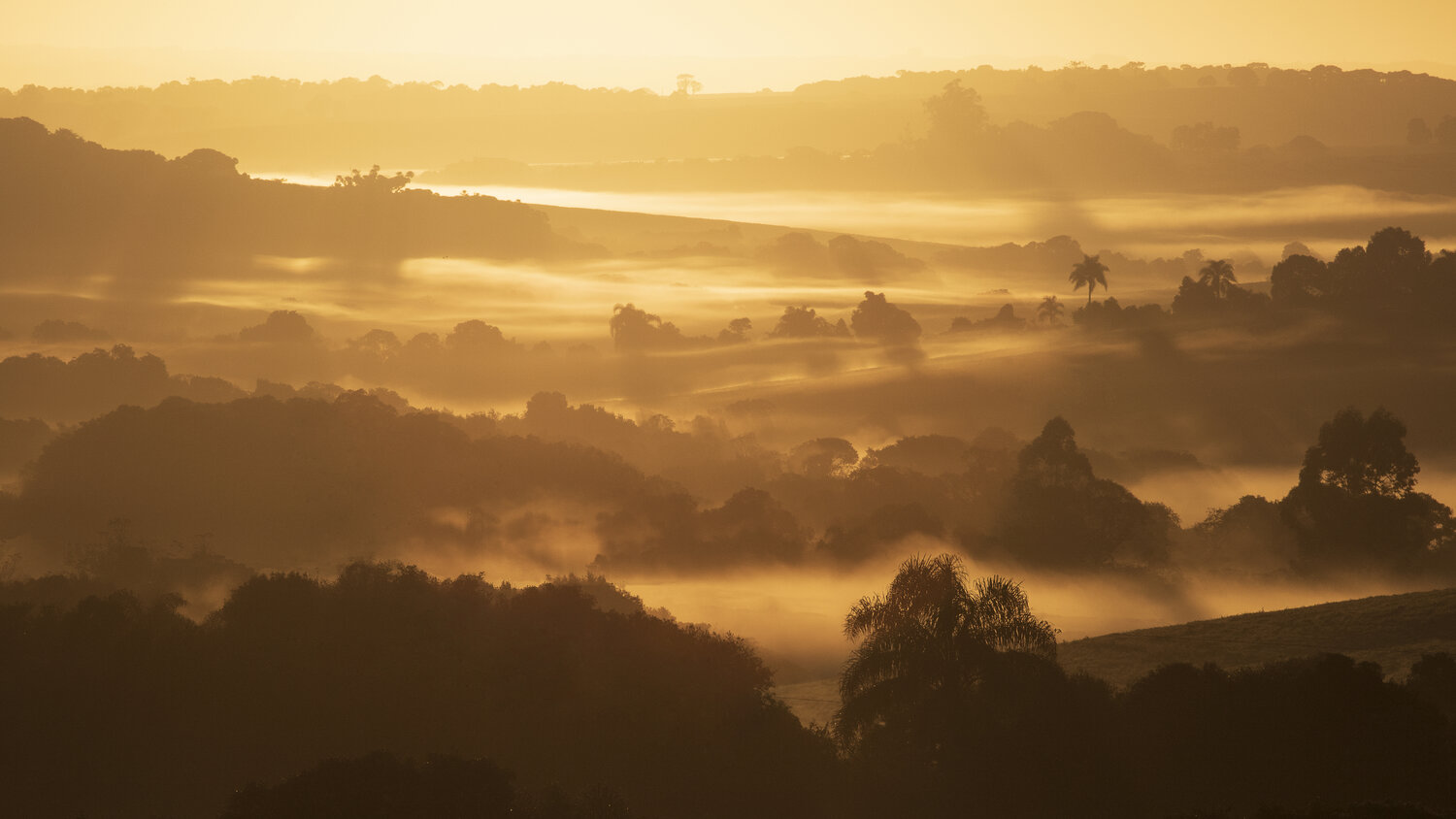 Photo #14002968
