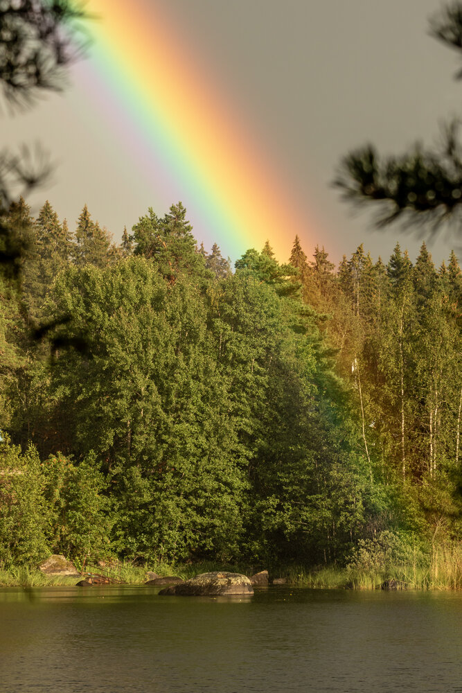 Photograph by Юлия Куликова