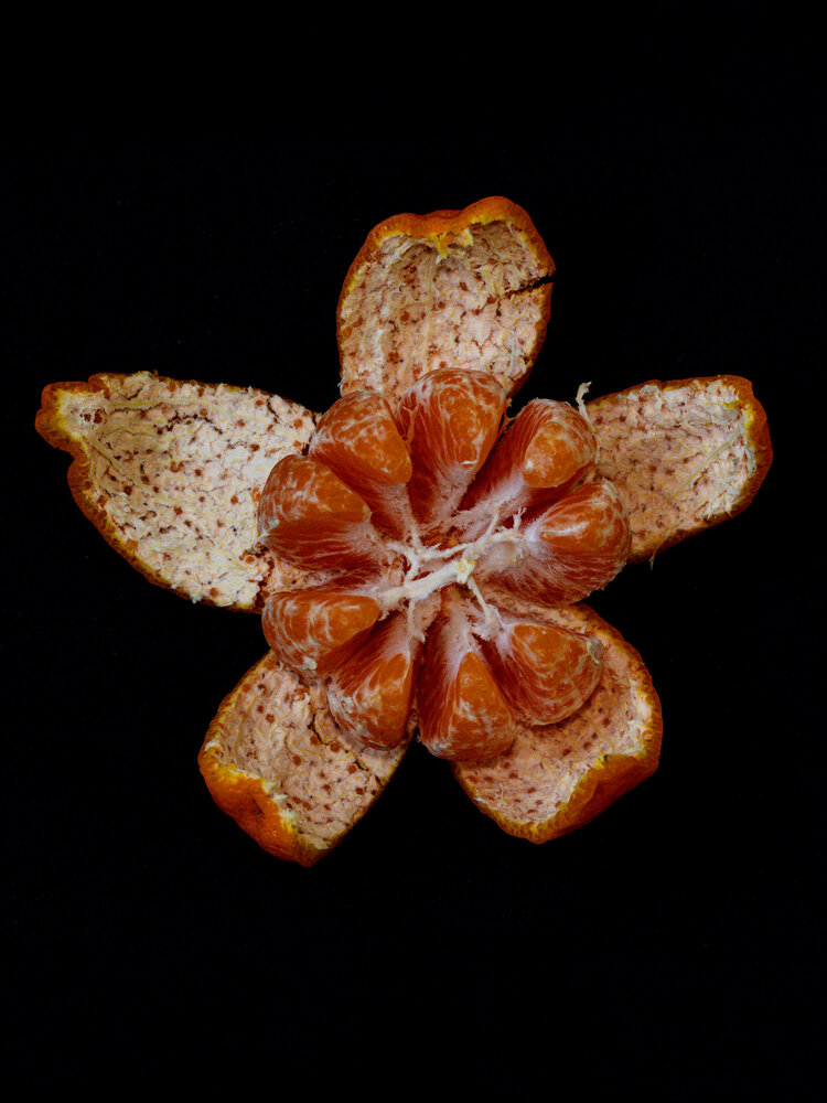 Photograph by Silvio José