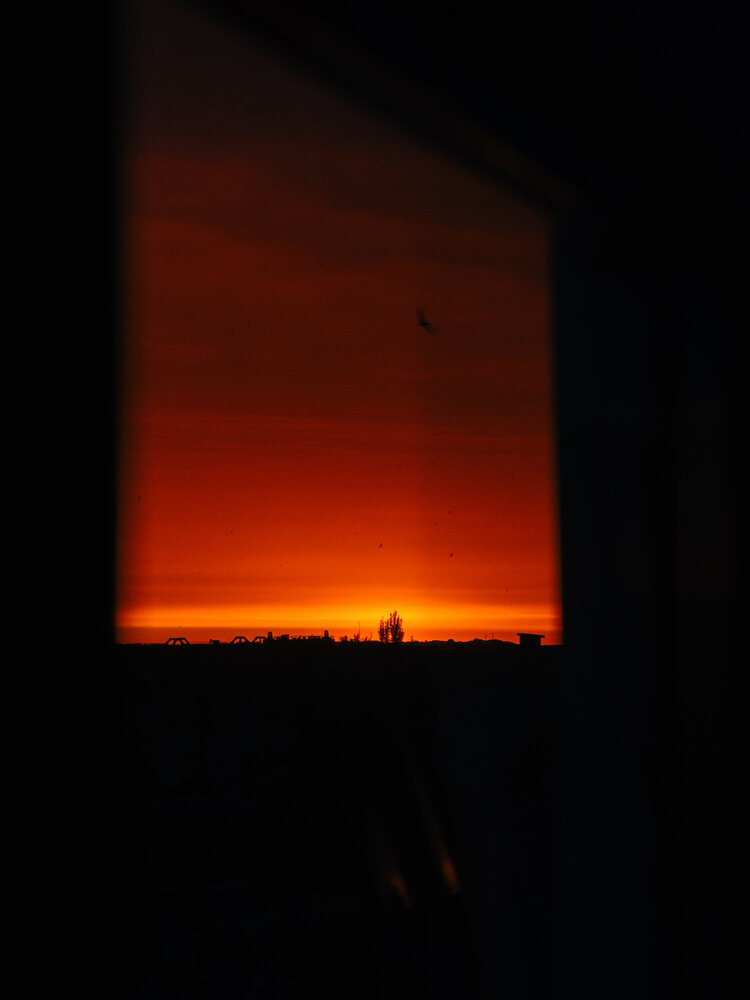 Photograph by Анна Голубцова