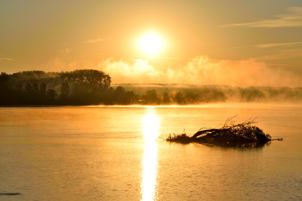 Photograph by Андрей Пляскин