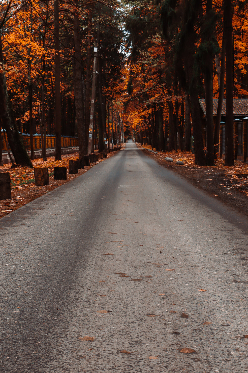 Photo #14003296