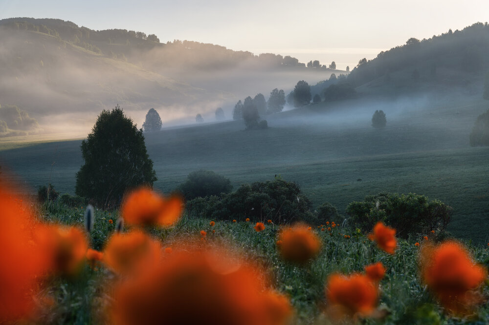 Photograph by Рубан Алёна