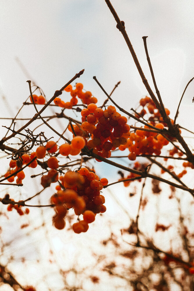 Photograph by Дарина Синица