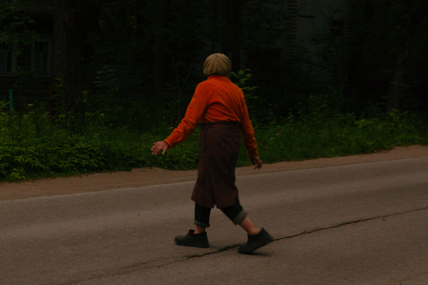 Photo #14003507