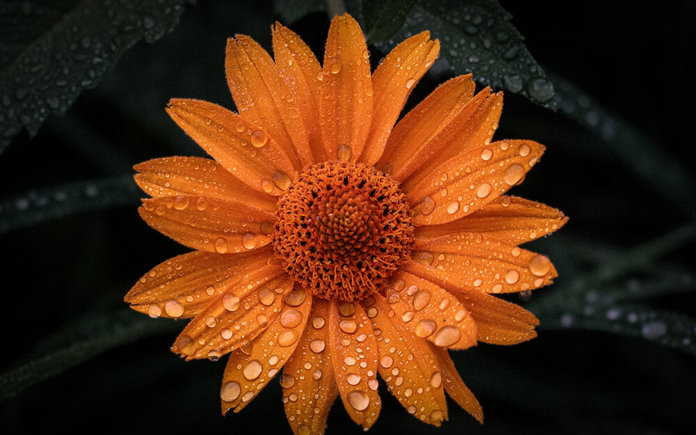 Photograph by Дмитрий Александрович