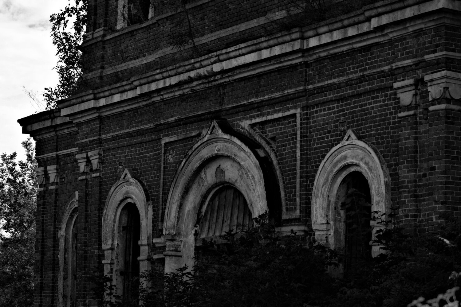 Photo #14003528