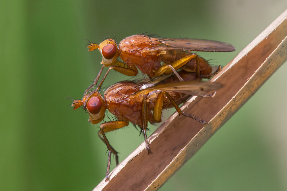 Photograph by Сергей Алексеев